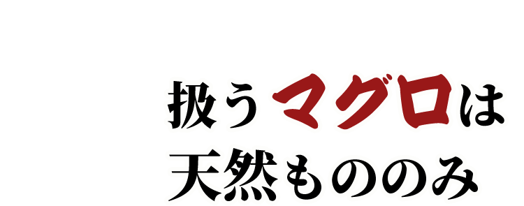 扱うマグロは 天然もののみ